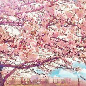 森泽佳奈人妻AVHD101
